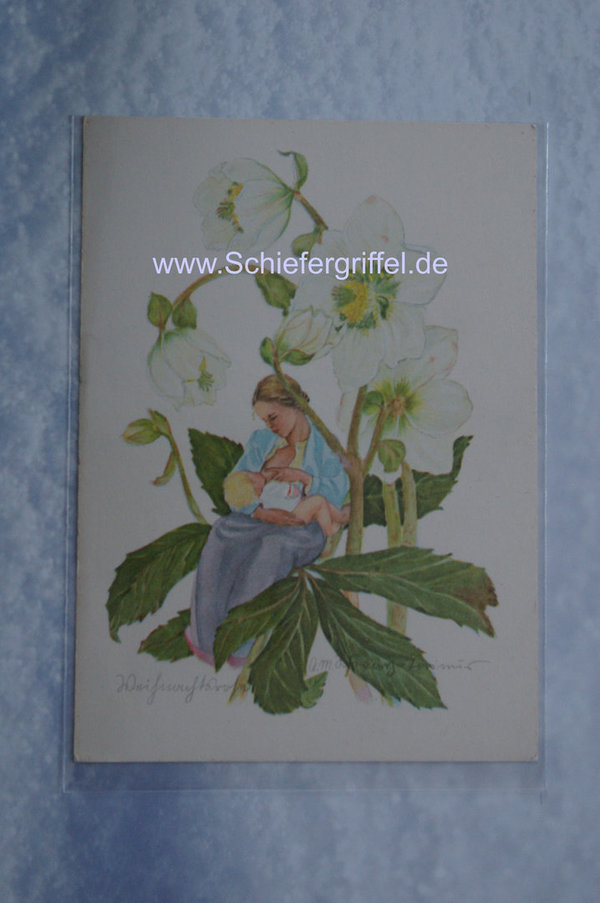 alte Postkarte PK AK ungelaufen Weihnachtsrose Blumenfeen Nr85