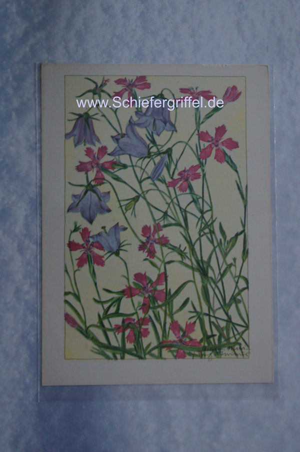 alte Postkarte PK AK ungelaufen Pechnelke Glockenblume Blumenfeen Nr99