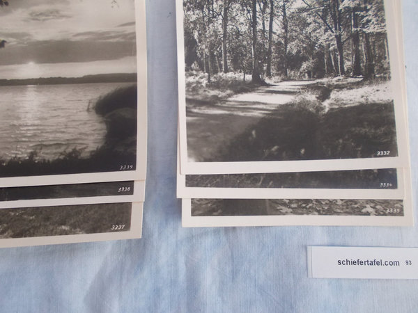 6 alte Postkarte PK AK ungelaufen, Graustufen, Natur, STC-A93